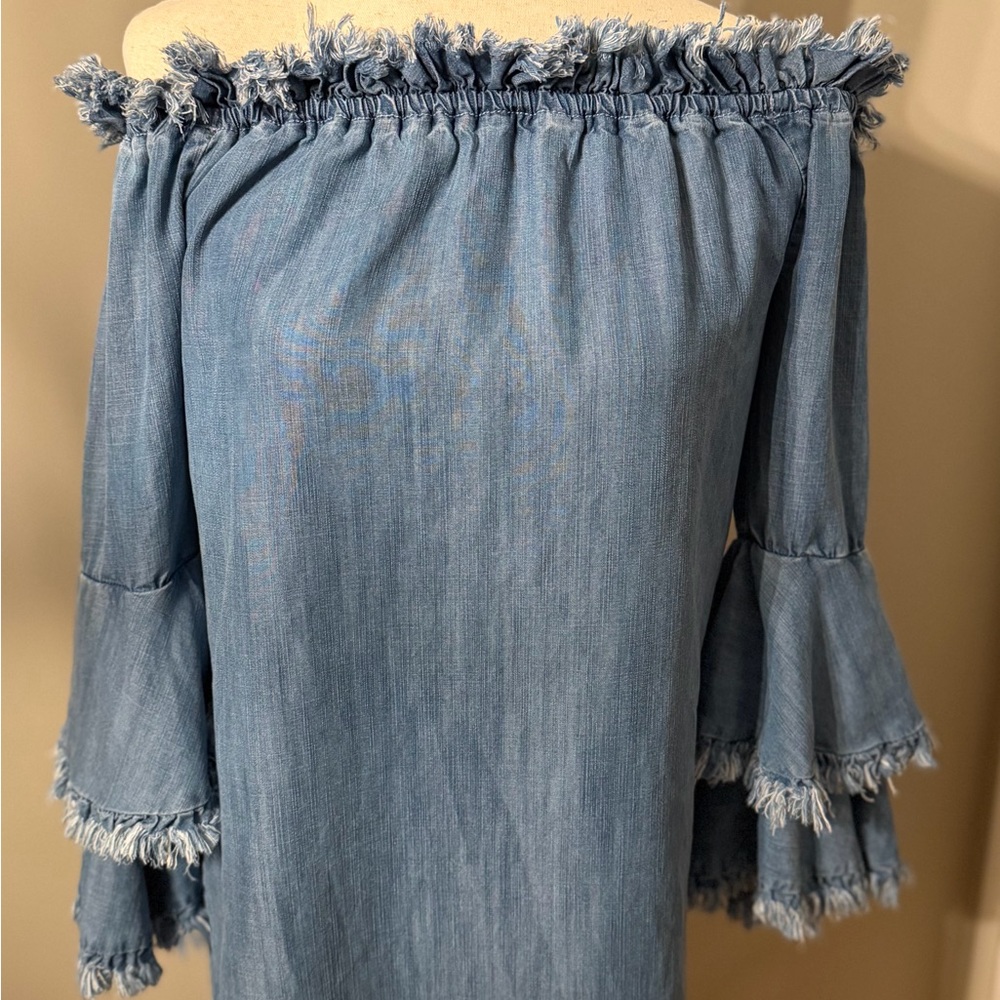 Boston Proper Blue Chambray XS Denim Top - Picture 3 of 5